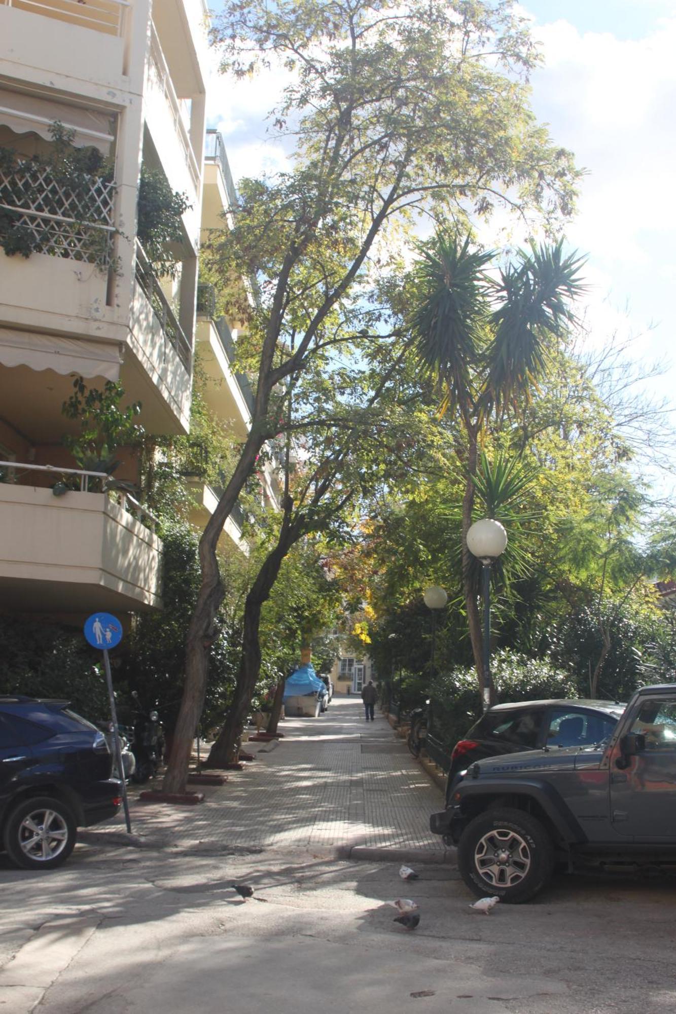 "Under The Olive Tree"- Beautiful Apartment In The Heart Of Атина Екстериор снимка